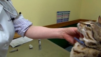 Nightline Prime Season 3 Episode 8