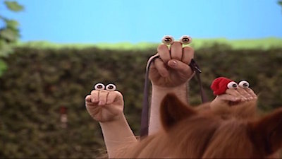 Oobi Season 1 Episode 110