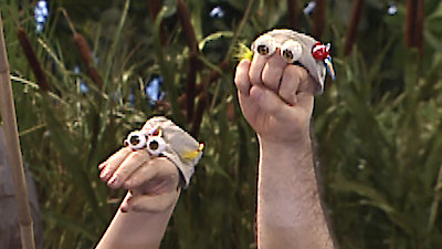 Oobi Season 1 Episode 26