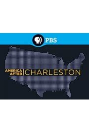 America After Charleston