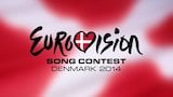 The 59th Eurovision Song Contest (Denmark)