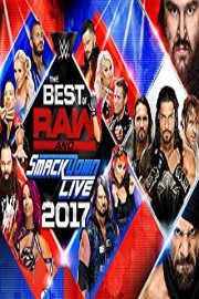 WWE: Best of Raw & SmackDown 2017