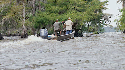 Swamp People Season 9 Episode 3