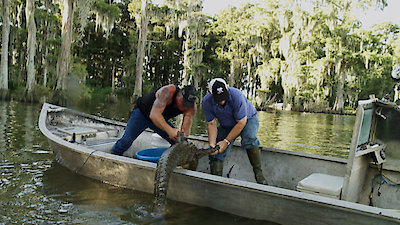 Swamp People Season 10 Episode 8