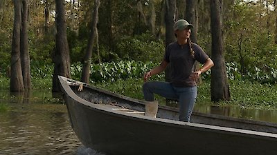Swamp People Season 12 Episode 6