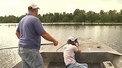 Swamp People Season 12 Episode 12