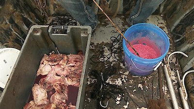 Swamp People Season 13 Episode 13