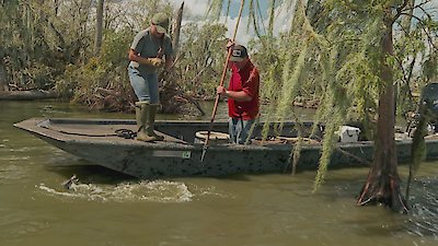 Swamp People Season 16 Episode 6