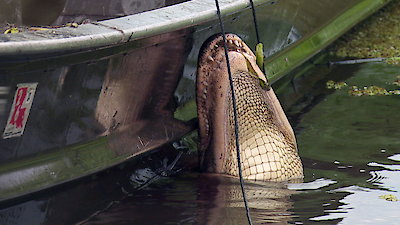 Swamp People Season 17 Episode 11