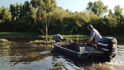 Swamp People Season 8 Episode 8