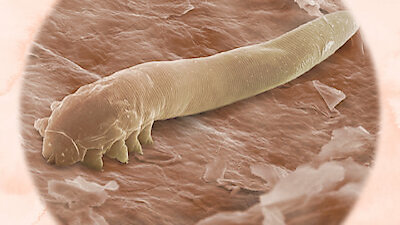 Explained Season 3 Episode 7