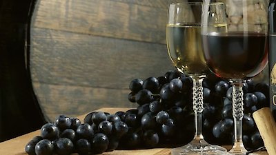 Foundations of Organic Chemistry Season 1 Episode 16