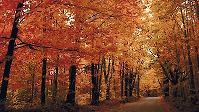 Foundations of Organic Chemistry Season 1 Episode 19