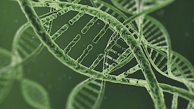 Foundations of Organic Chemistry Season 1 Episode 23
