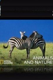 Animals & Nature