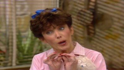 Alice (1976) Season 8 Episode 14