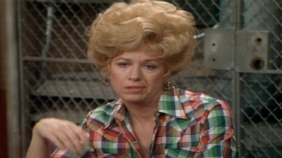 Alice (1976) Season 2 Episode 20