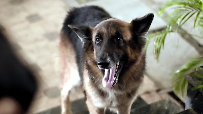 Pushpavalli Season 1 Episode 7