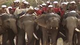 The Maurya - Warriors of the Elephant