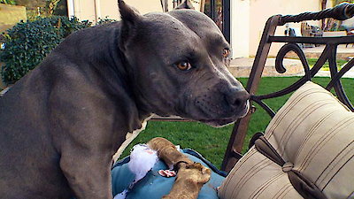 I Love Jenni Season 2 Episode 14