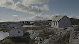 Newfoundland Coast