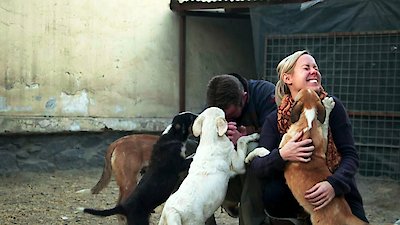 Dodo Heroes Season 1 Episode 3