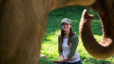 Dodo Heroes Season 1 Episode 5