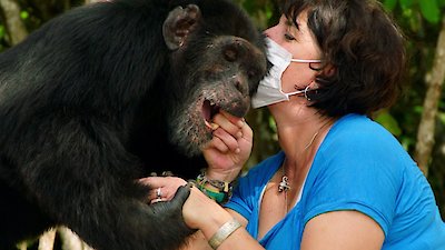 Dodo Heroes Season 1 Episode 6