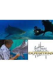 Guy Harvey Expeditions