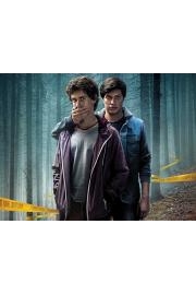 The Silent Valley (aka Valea Muta)