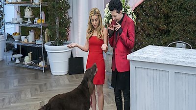 Wedding Cake Championship Season 1 Episode 3