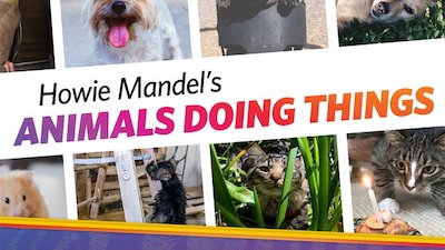 Howie Mandel's Animals Doing Things Season 1 Episode 6