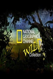 National Geographic Channel: Wild