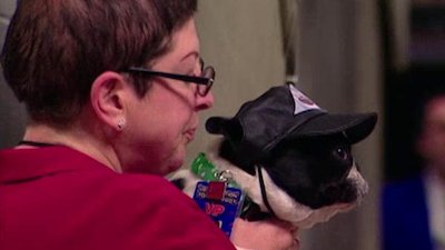 Breed All About It Season 6 Episode 2