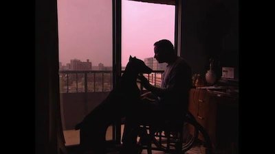 Breed All About It Season 3 Episode 8