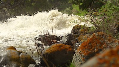 Wild Yellowstone Season 1 Episode 2