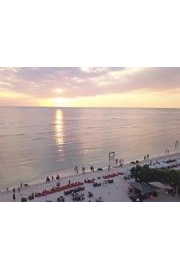 Brad's Indonesia Adventure Vlogs