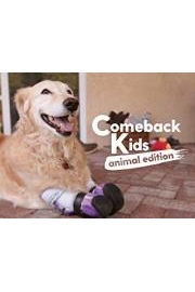 Comeback Kids