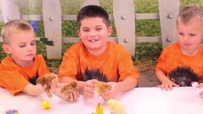 pocket.watch HobbyKidsTV mishmash Season 2 Episode 10