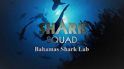 Shark Squad Season 1 Episode 2