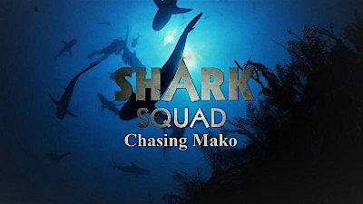 Shark Squad Season 1 Episode 3