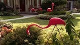 Pink Flamingos