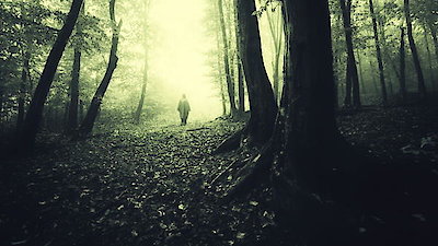 These Woods Are Haunted Season 1 Episode 3