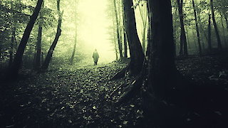 Watch These Woods Are Haunted Season 1 Episode 5 - Haunted Cabin Online Now