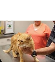 Pet Medics: New Zealand