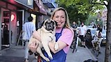 Give a Dog a Cupcake