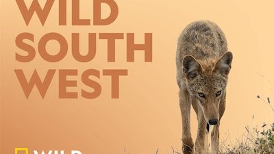 Wild South West Season 1 Episode 3