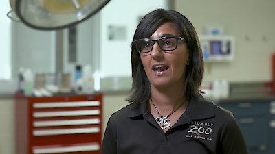 Secrets of the Zoo Season 2 Episode 4