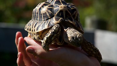 Secrets of the Zoo Season 4 Episode 4