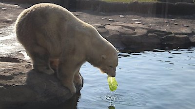 Secrets of the Zoo Season 4 Episode 6